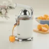 آبمیوه گیری گرین لاین مدل Vintage GNVCTJUR400CM