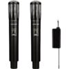 میکروفون گرین لاین GREEN LION DUAL MIC 5H - مشکی