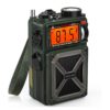 پاوربانک خورشیدی و اسپیکر بلوتوث و رادیو گرین لاین Green Lion Vintage Solar Pro Radio