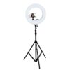 رینگ لایت ۲۲ اینچ گرین لاین Green Lion Button Mode Ringlight 22